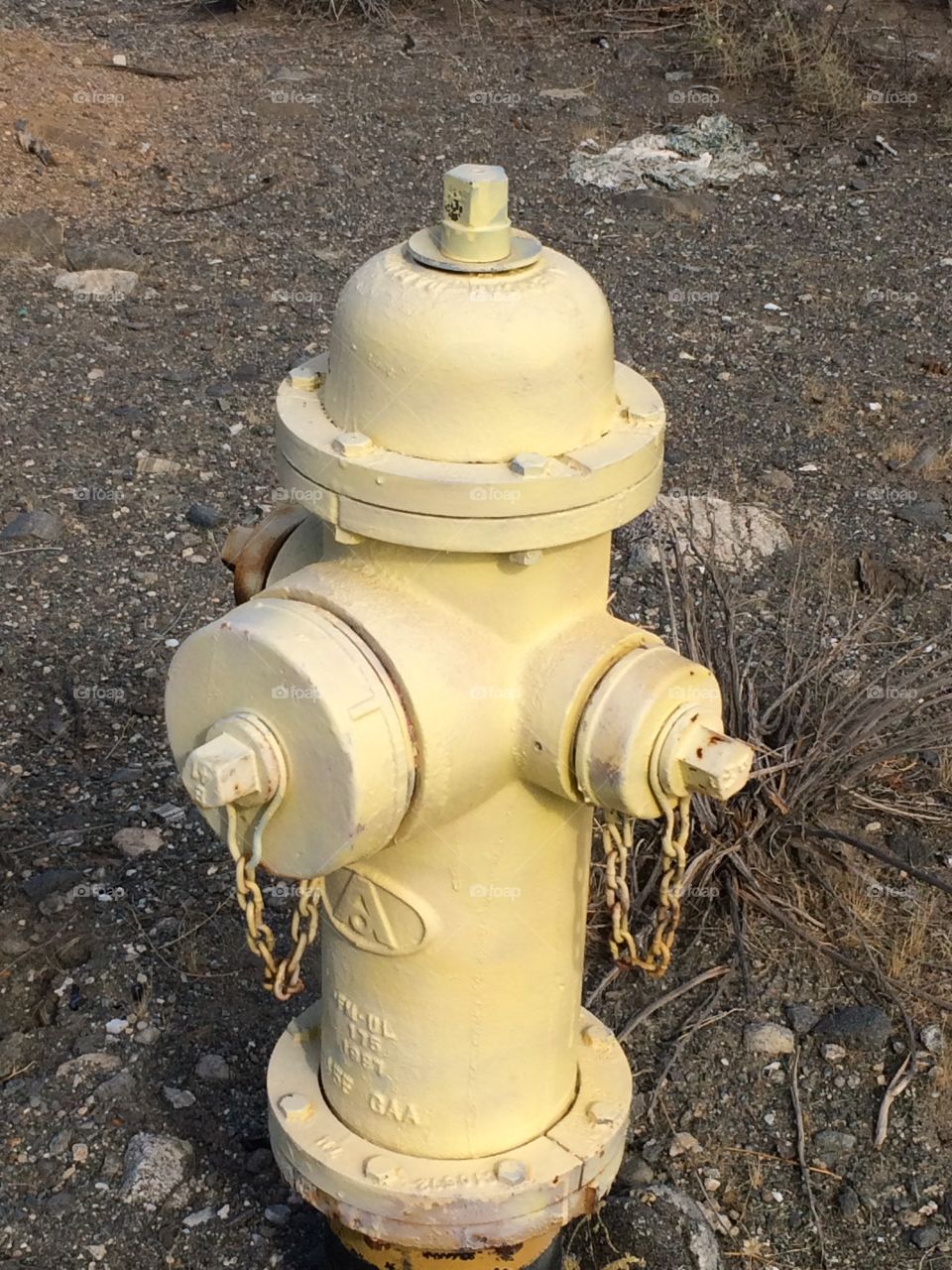 Hydrant 