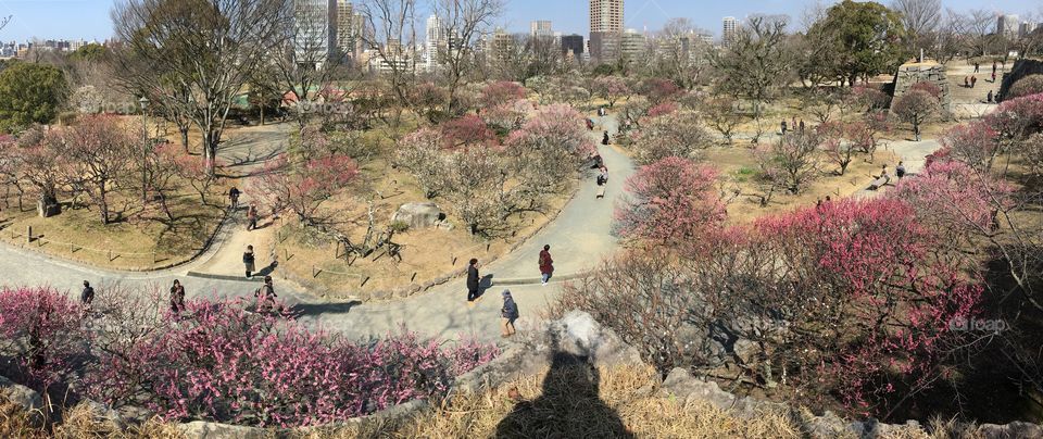 Amazing panorama of Fukuoka’s Maizuru Park in Japan