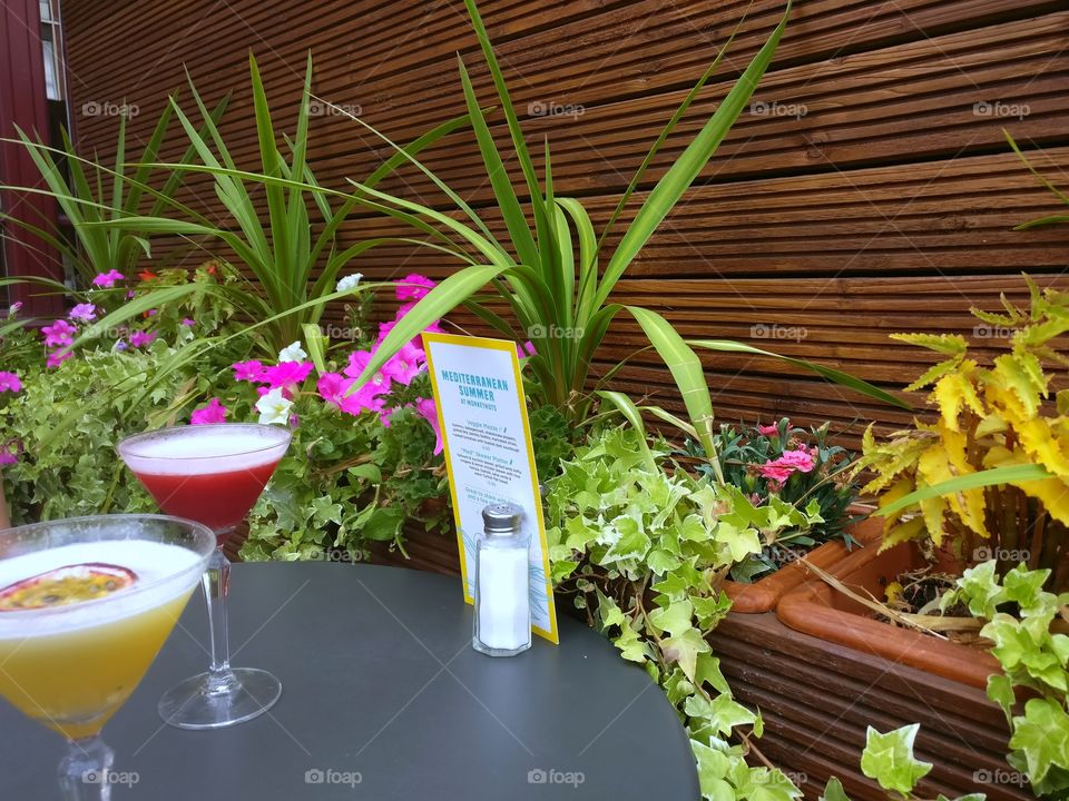 cocktails in the garden, Crouch End , London , UK