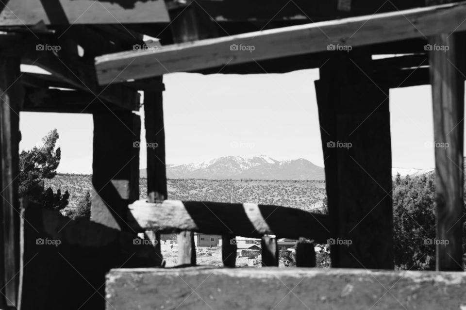 Looking thru the window