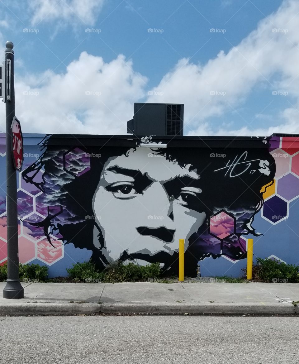 wall mural, Jimi Hendrix