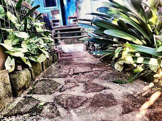 caminho