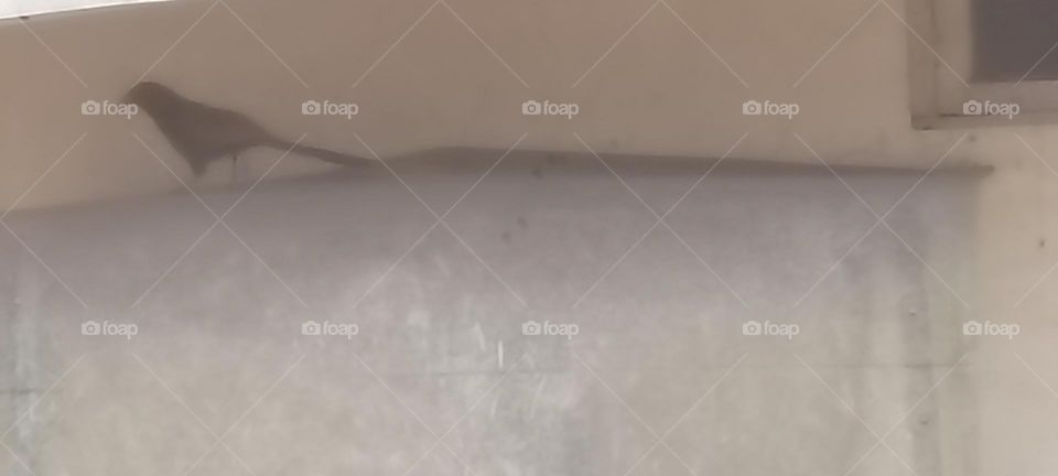 lesson of life no one is going to die for you