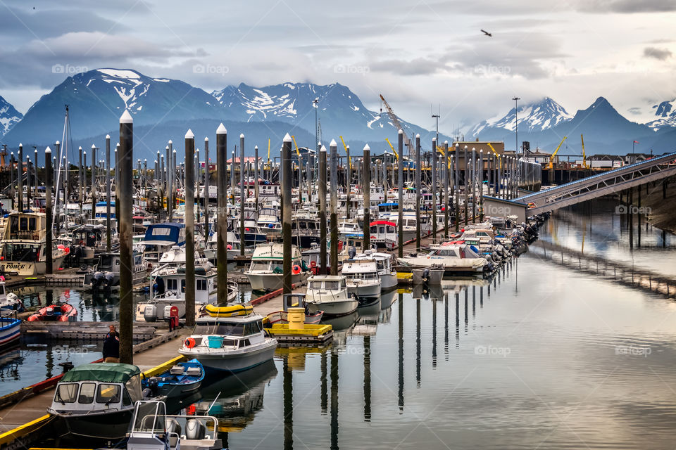 Homer Alaska marina