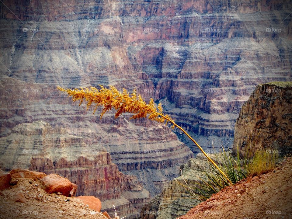 Snapshot taken while enjoying the day exploring the Grand Canyon. 