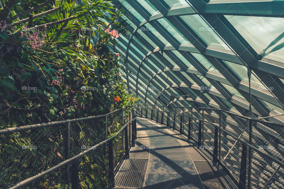 Walking path in Cloud forest at Garden by the bay Singapore