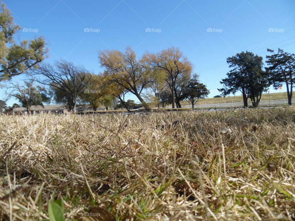 Oops dropped my camera