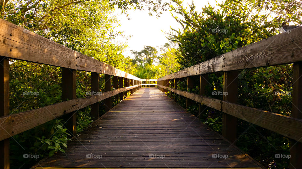 Wood, Bridge, Guidance, Nature, Road