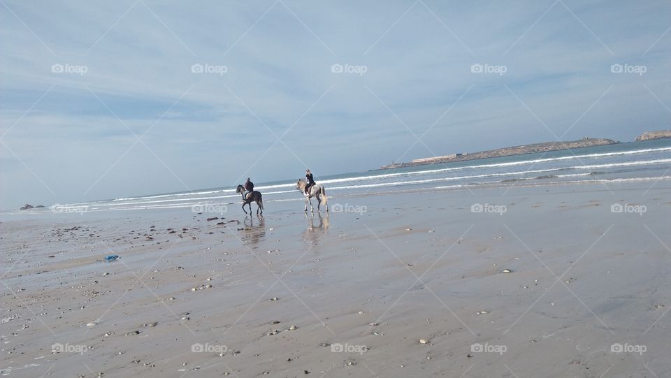 great trip by horse near the beach.