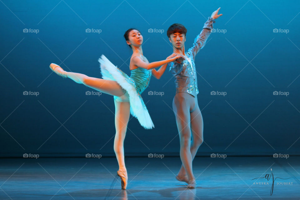 Ballet Partners
