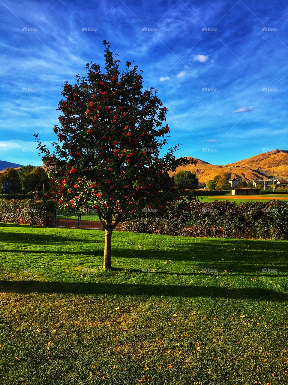 Beautiful sunny morning 