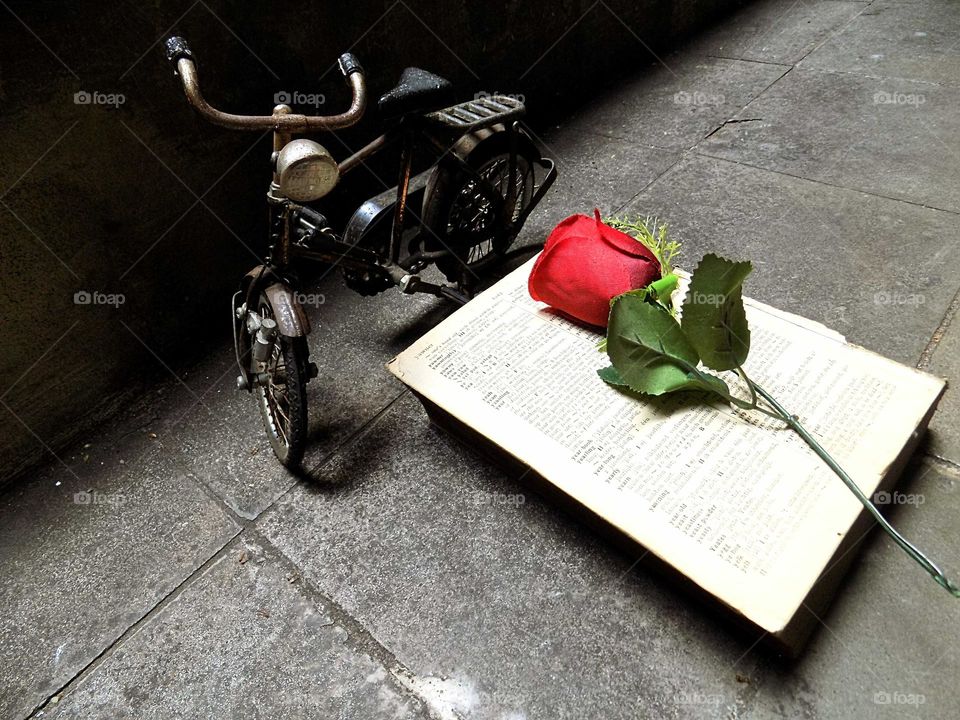 The meaning of love in a book