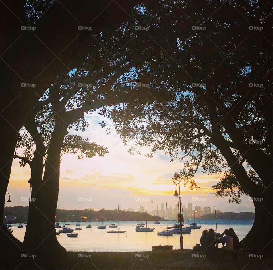 Sunset in Sydney on the water