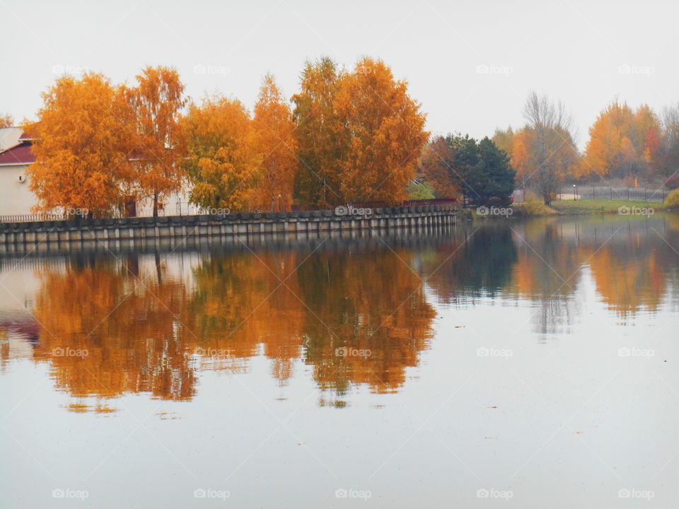 Autumn trees reflected on lake