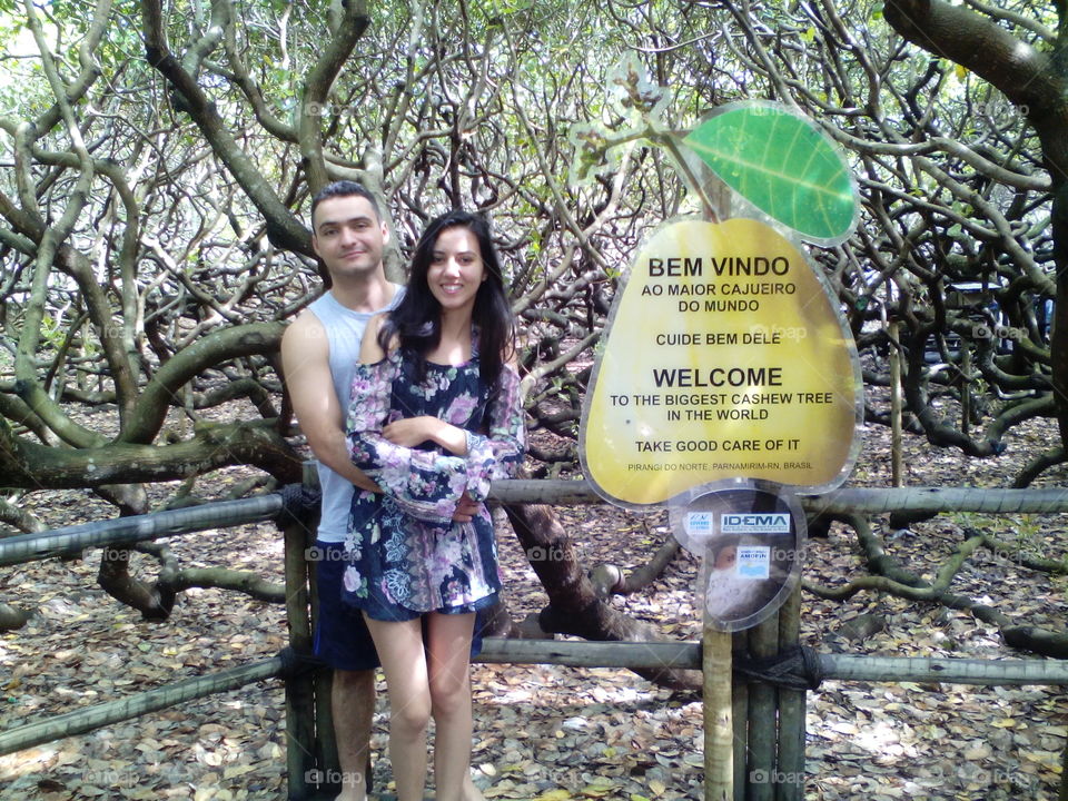 Couple standing in cashew nut orchard