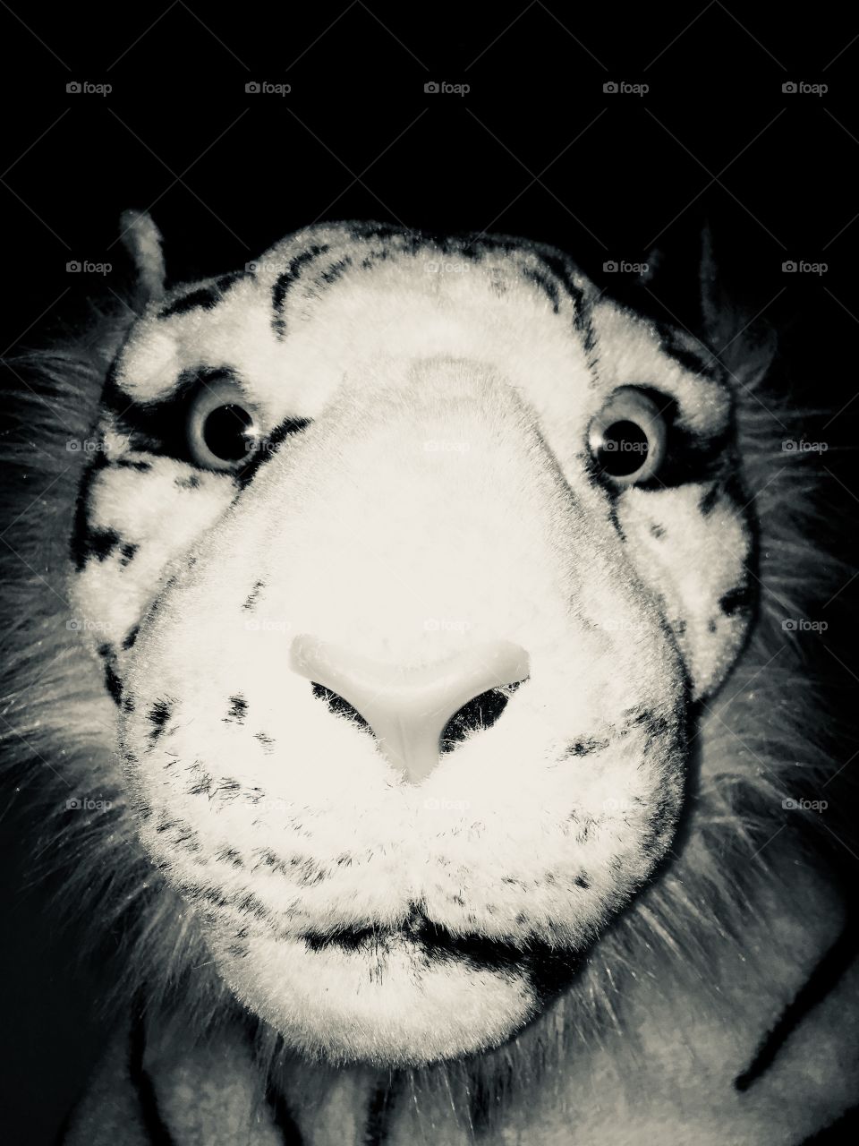 A tiger teddy 