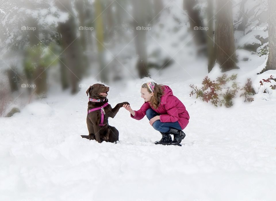 Child shakes dog’s paw in a snowy winter scene