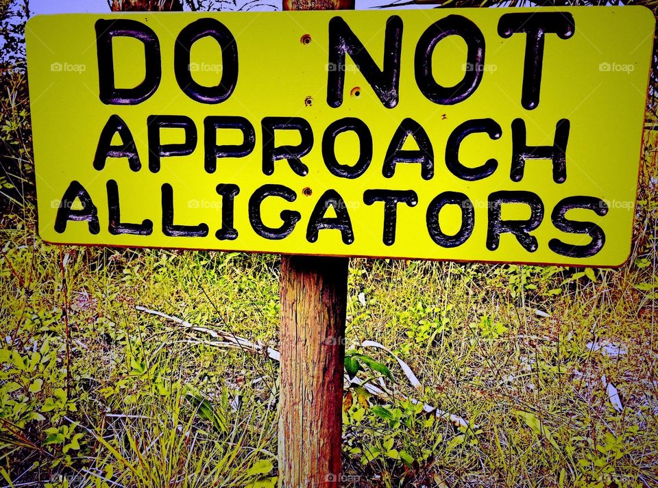 Alligator warning
