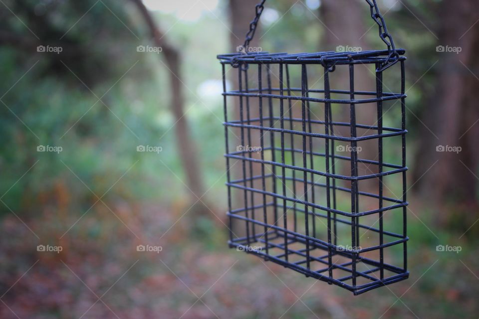 Bird feeding cage