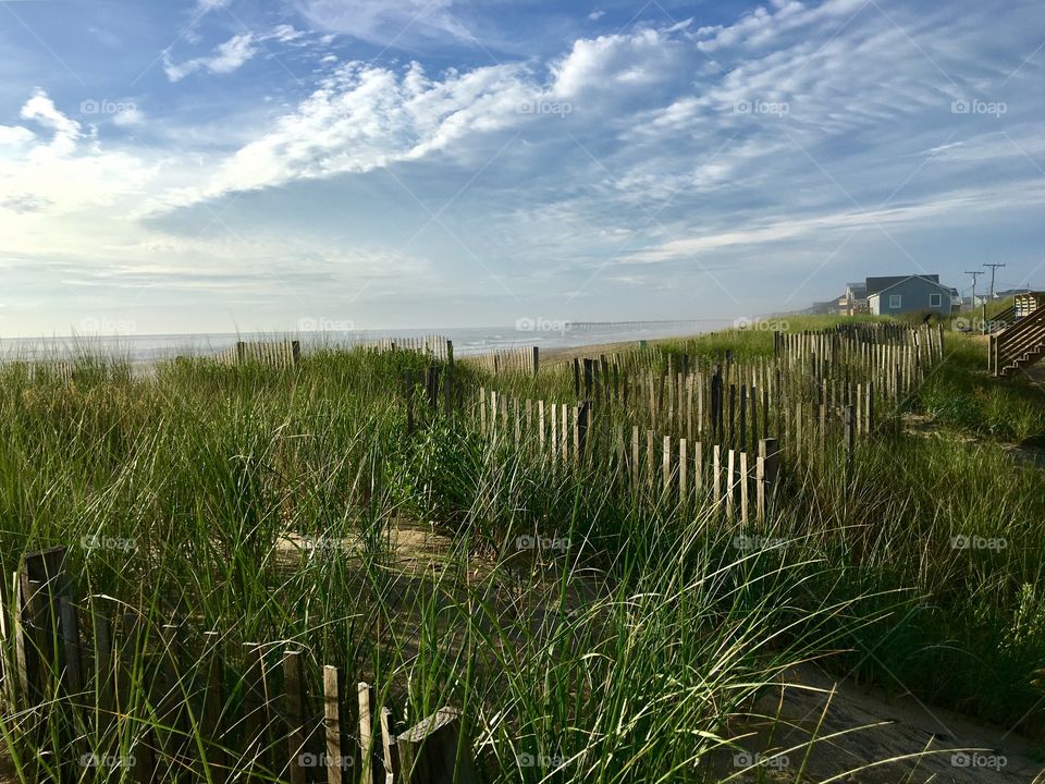 Dunes by the ocean. 