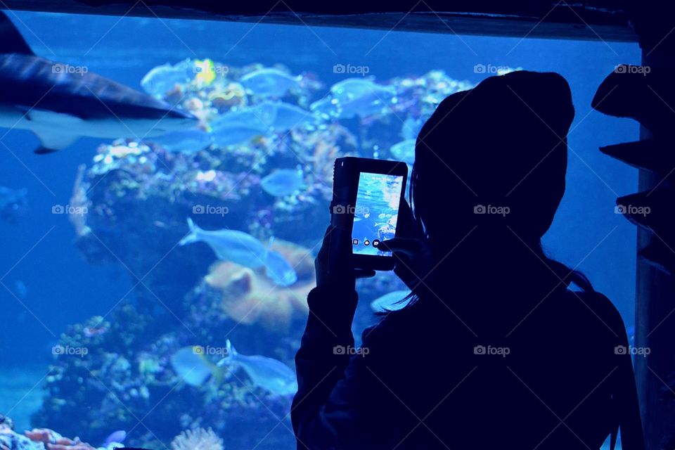 Underwater, People, Water, Fish, Ocean