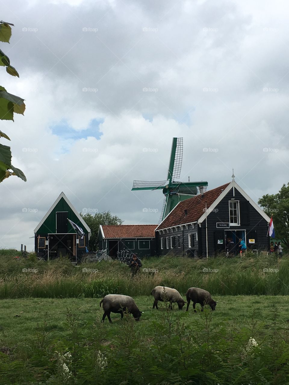 Windmills in Holland 