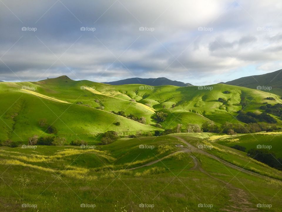 No Person, Nature, Landscape, Grass, Countryside
