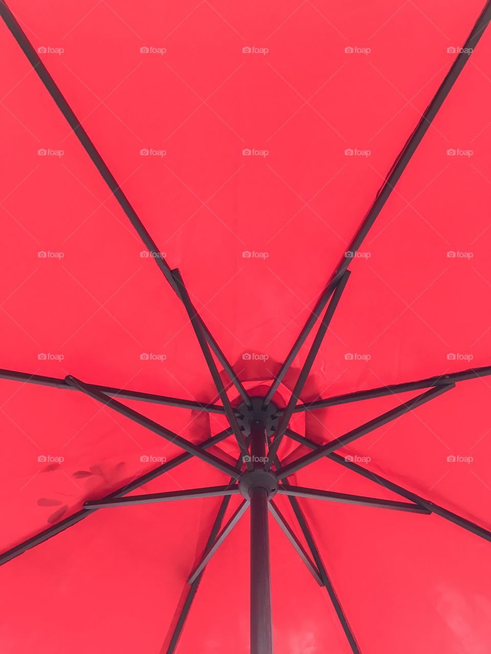 The umbrella 