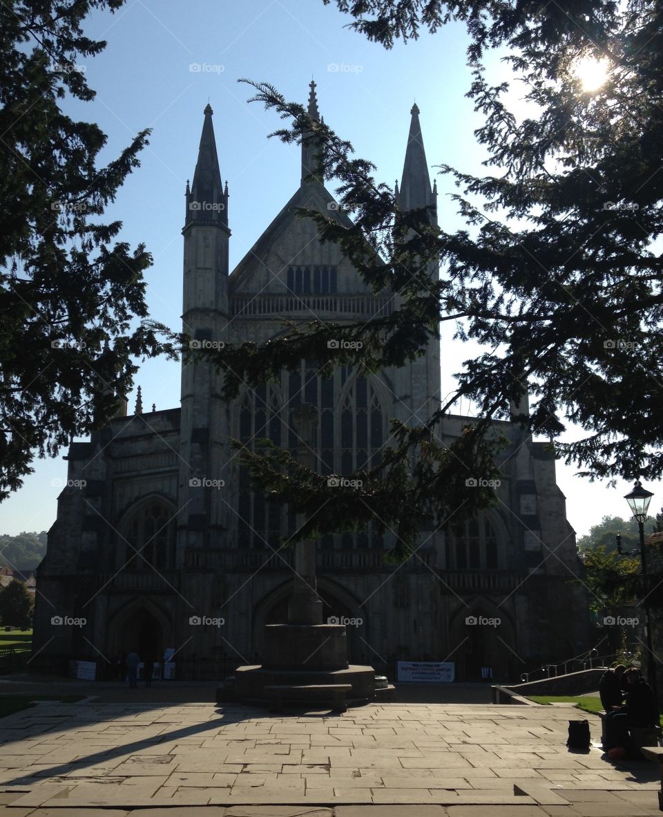 Winchester cathedral . Winchester cathedral in the autumn sunlight