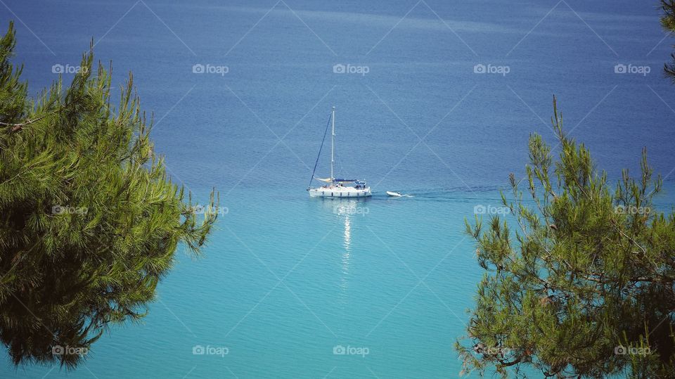 White yacht sailing on a calm blue waters. Framed with pine branches on the sides