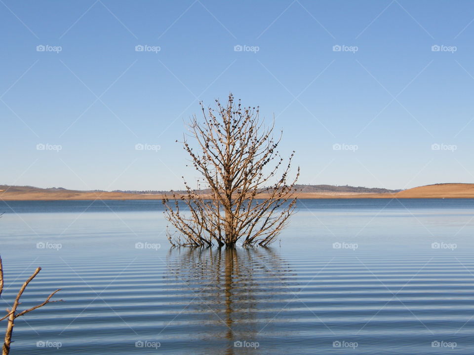 Lake Eucumbene 
