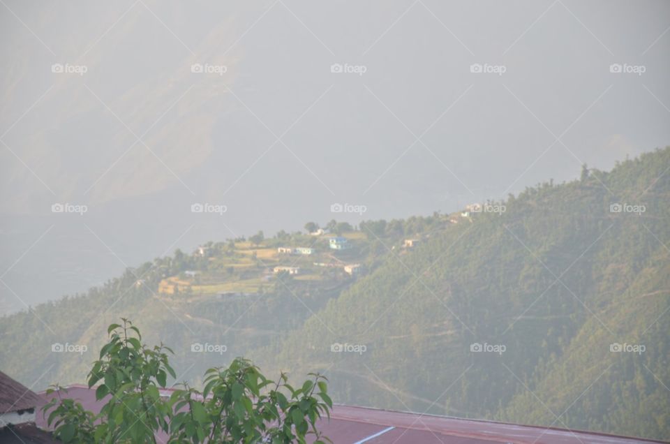 Fog, Landscape, Mountain, Tree, Travel