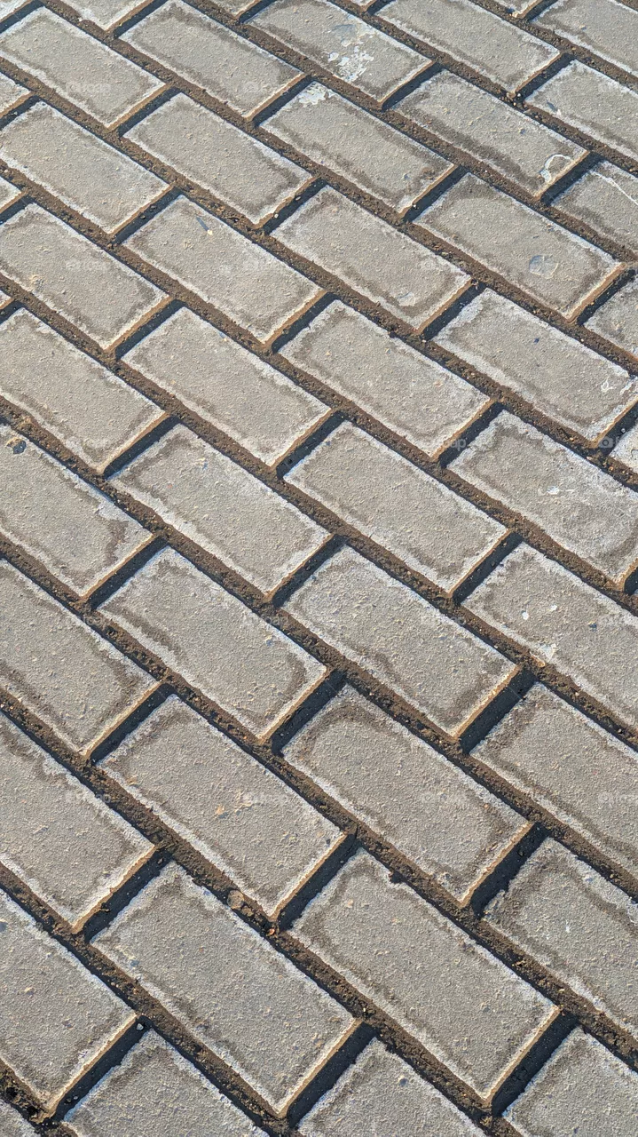 rectangular brick grey paving slabs laid in a row