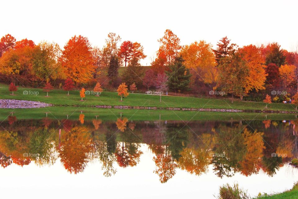 Autumn trees reflection on lake