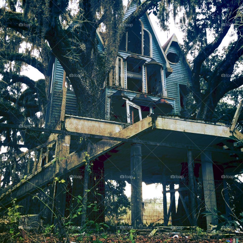 Abandoned Victorian treehouse 
