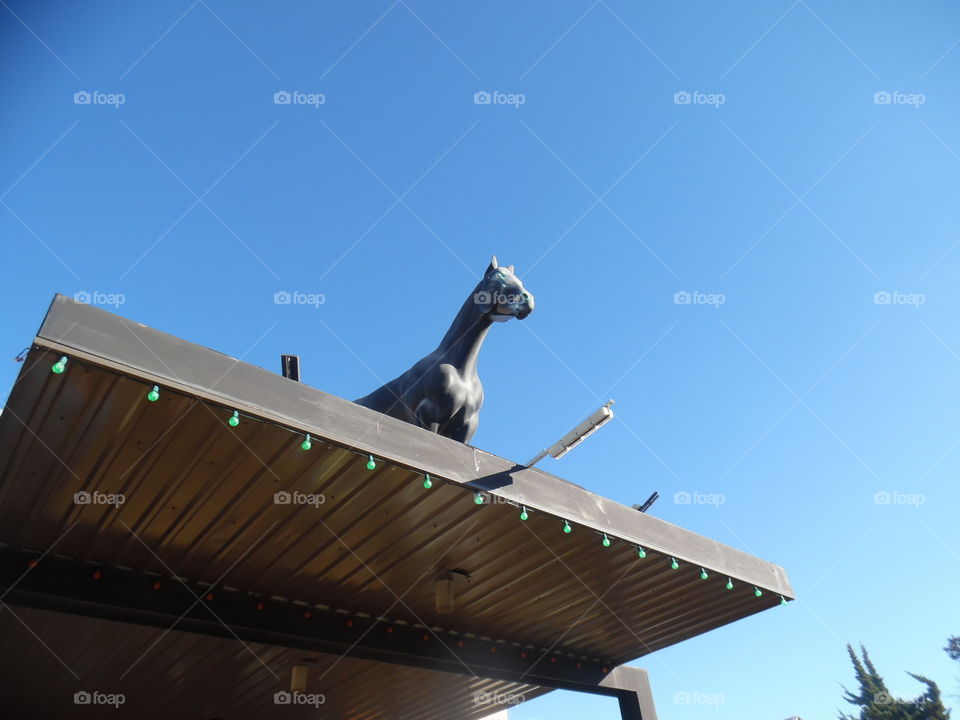 Amarillo scare grounds 