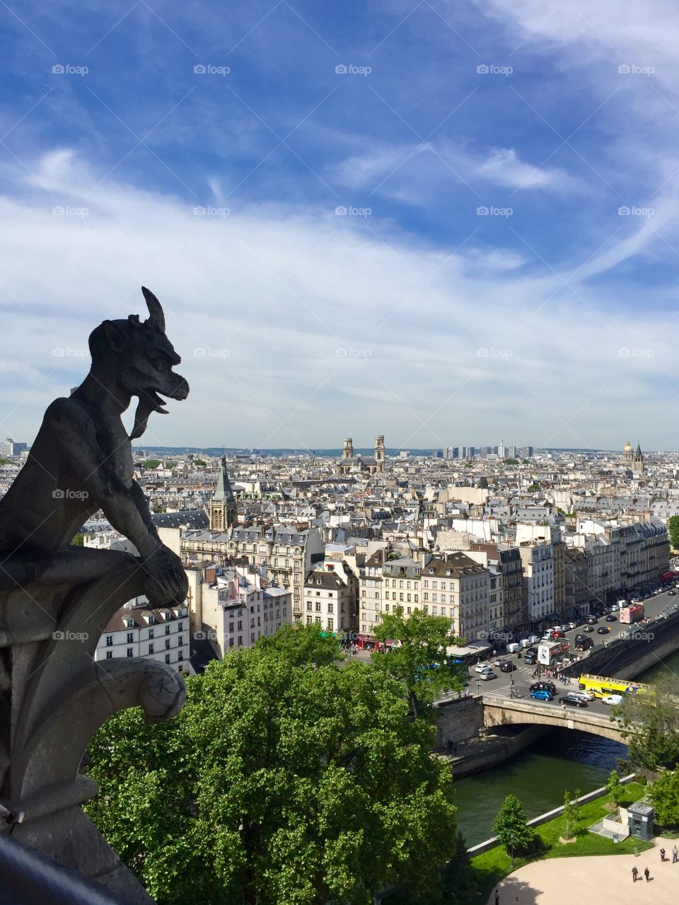 View of Paris 