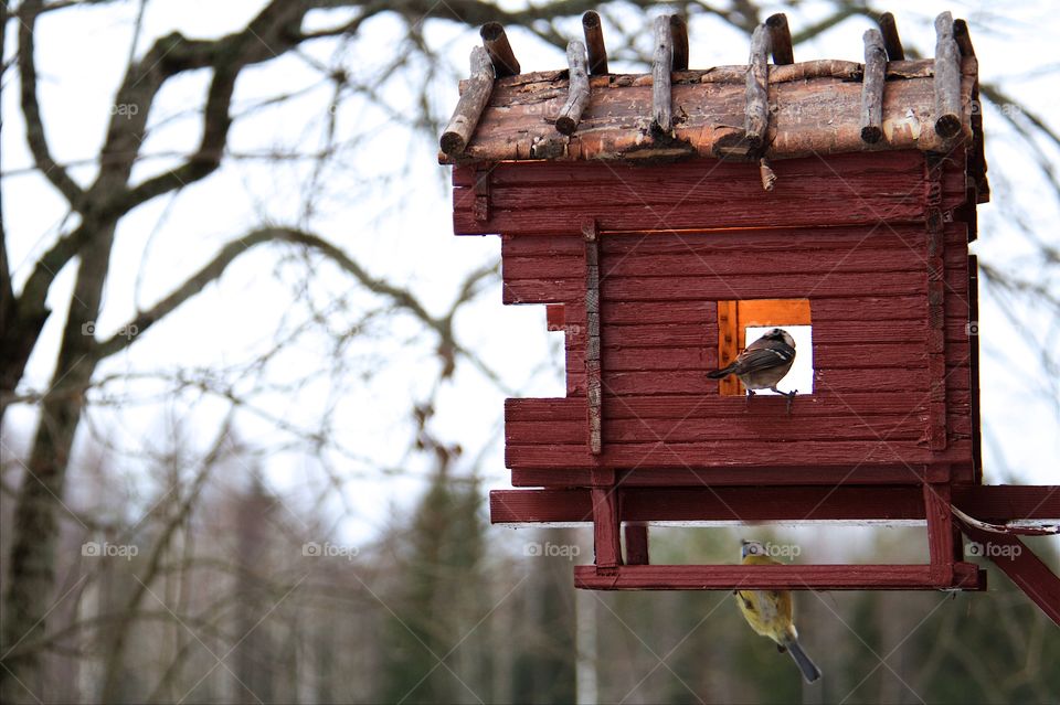 Close-up of a birdhouse