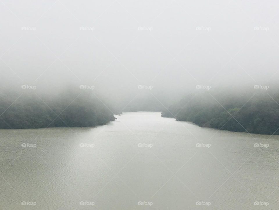 Foggy lake