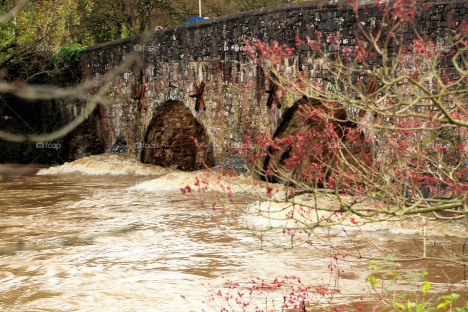 View of bridge over river