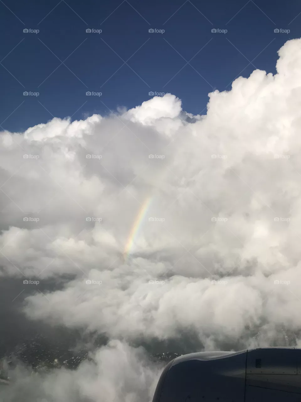 Rainbow 