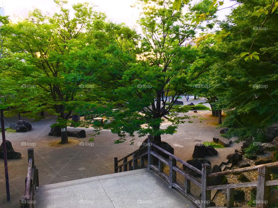 Looking over a park area. 
