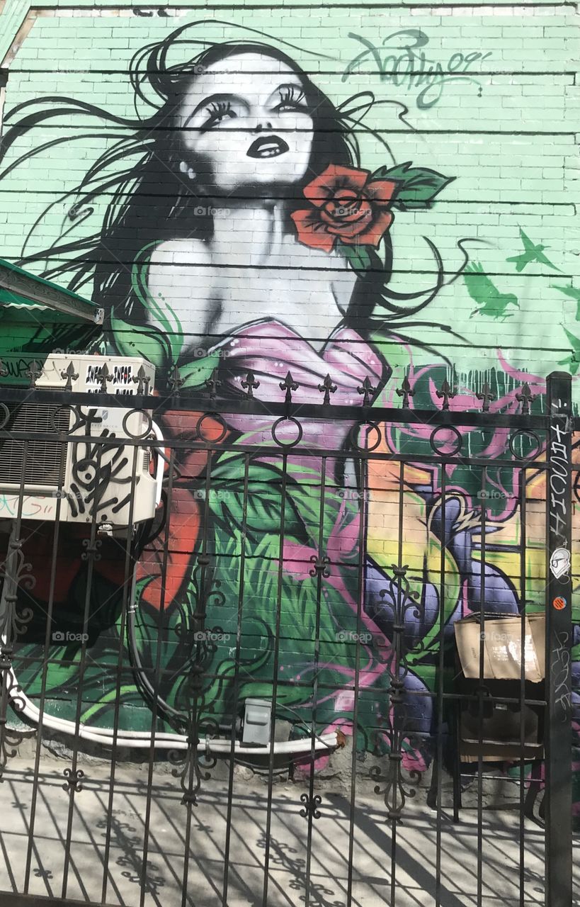 Urban Art Brooklyn NY !