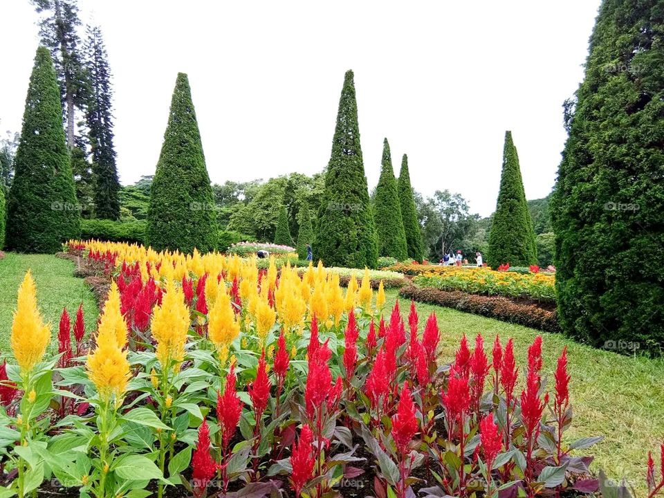 Iconic botanical park a famous landmarks and landscape at Burma.