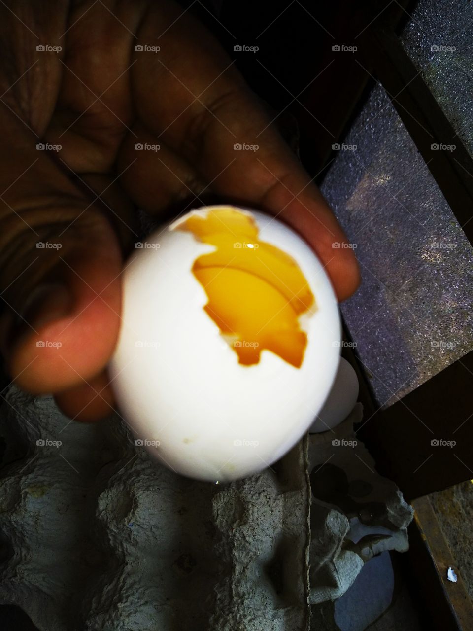 Egg