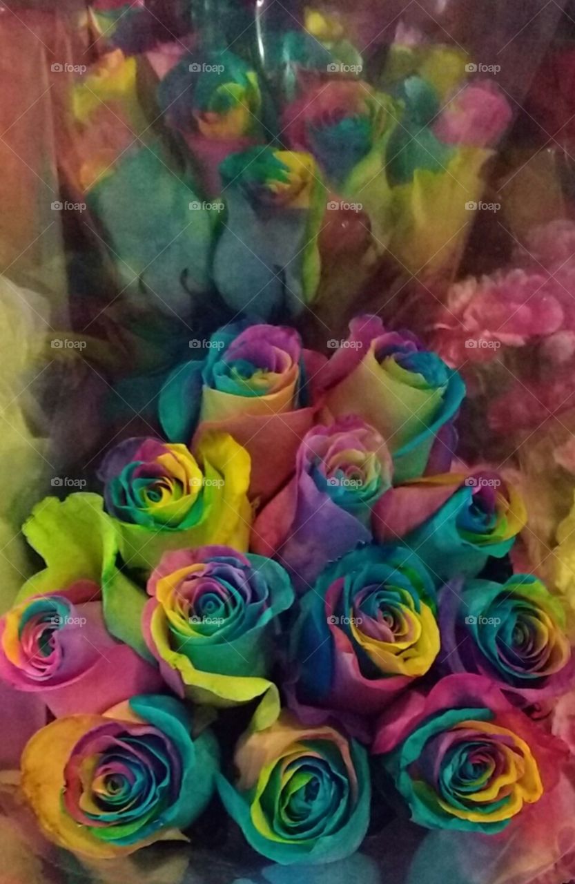 Rainbow Roses