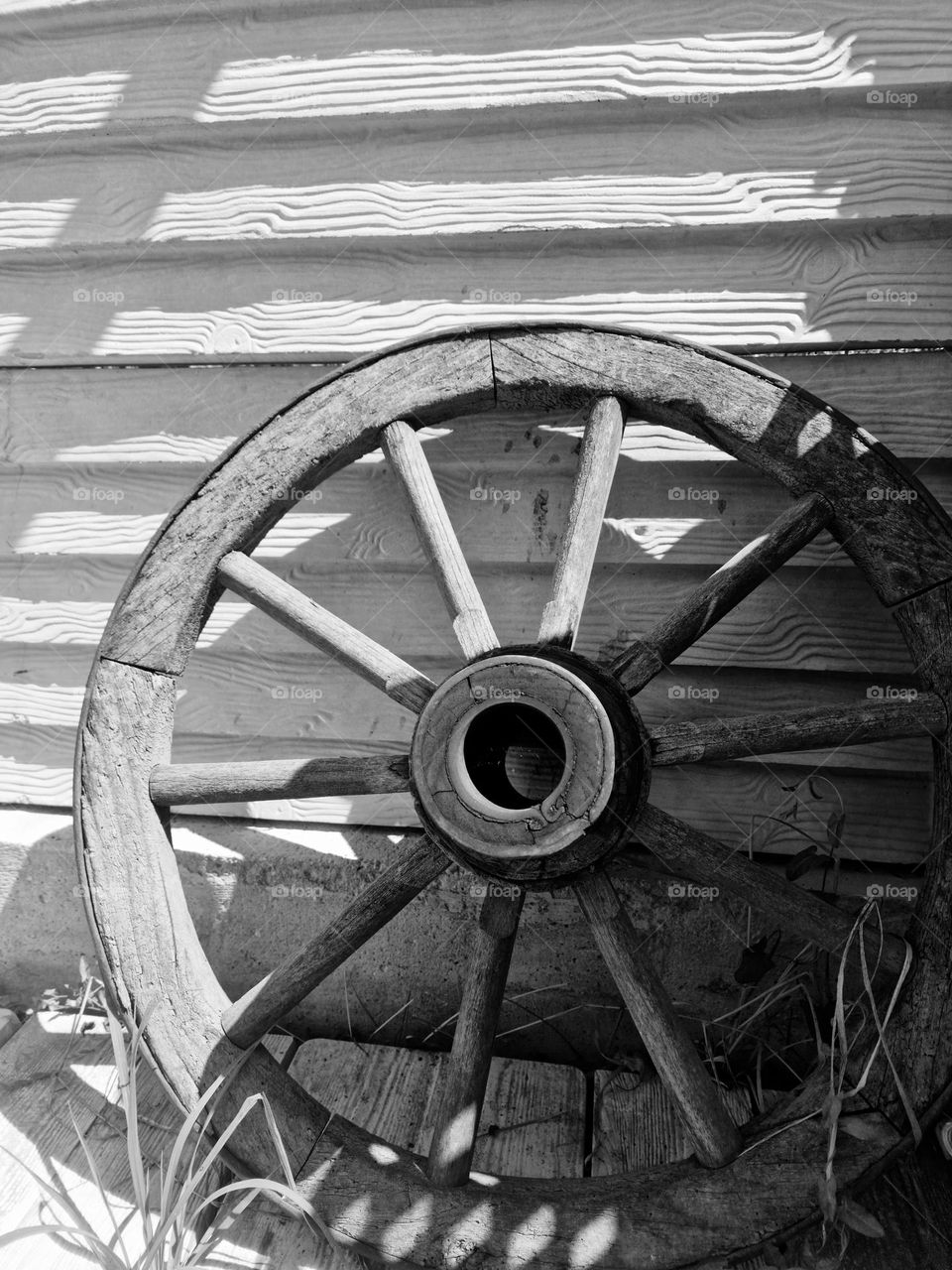 wood wheel