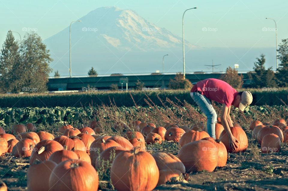 People, Group, No Person, Outdoors, Fall