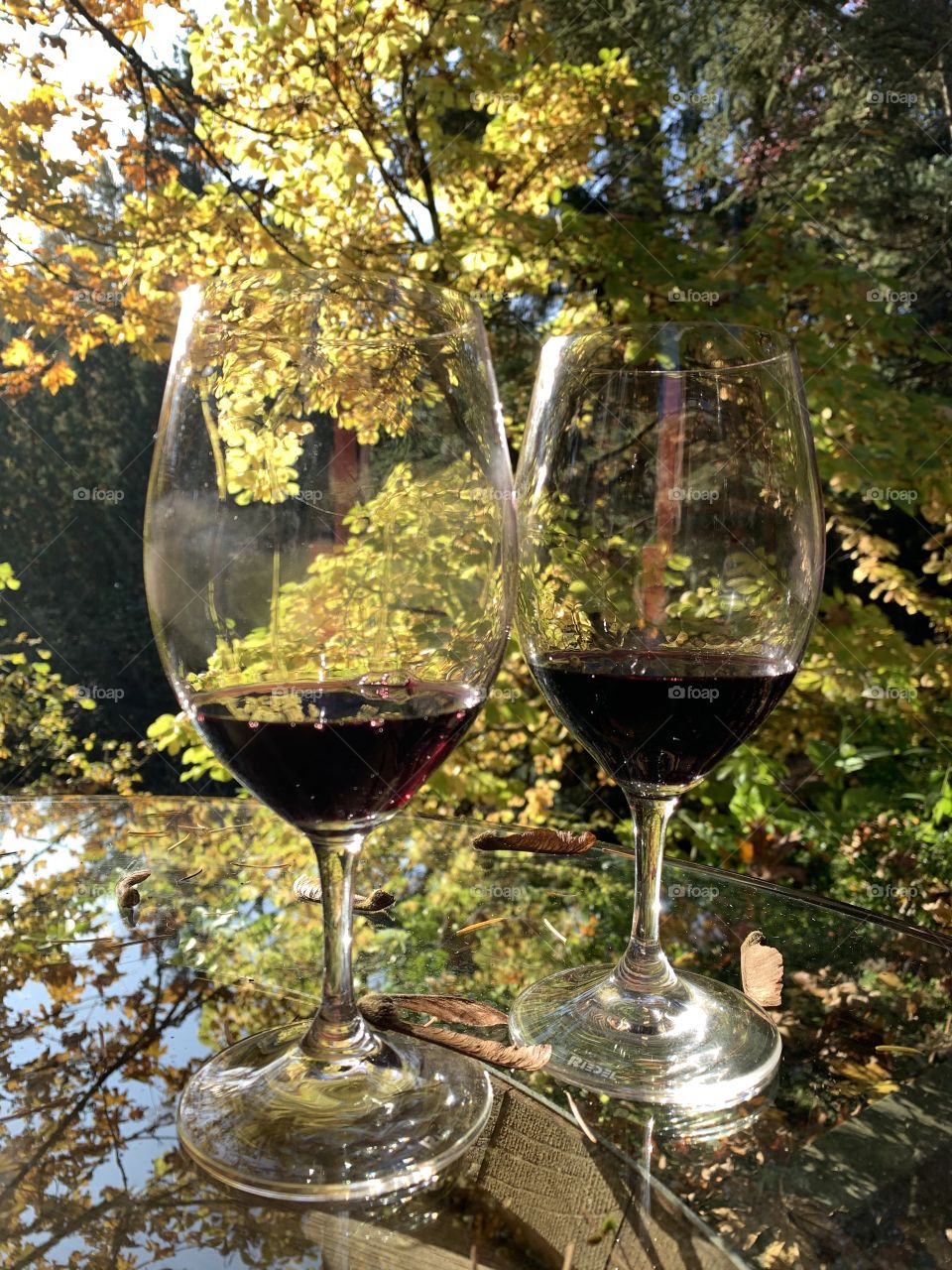 Fall winery 