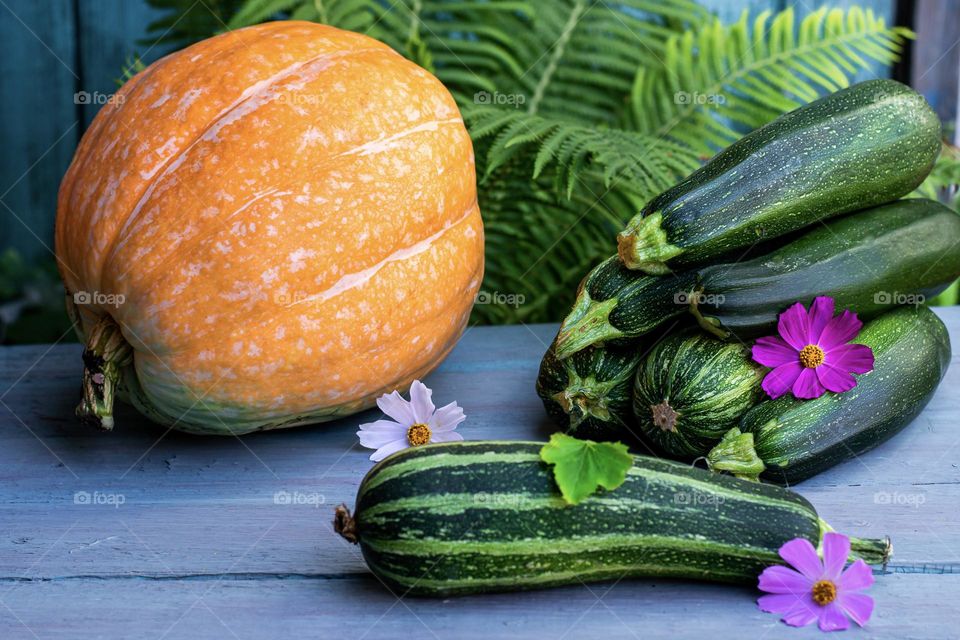 Autumn harvest of zucchini and pumpkins grown independently in the garden in the village